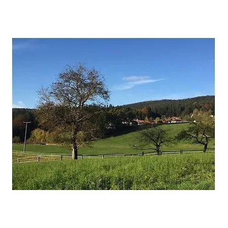 Forest View Hauzenberg Comfortable