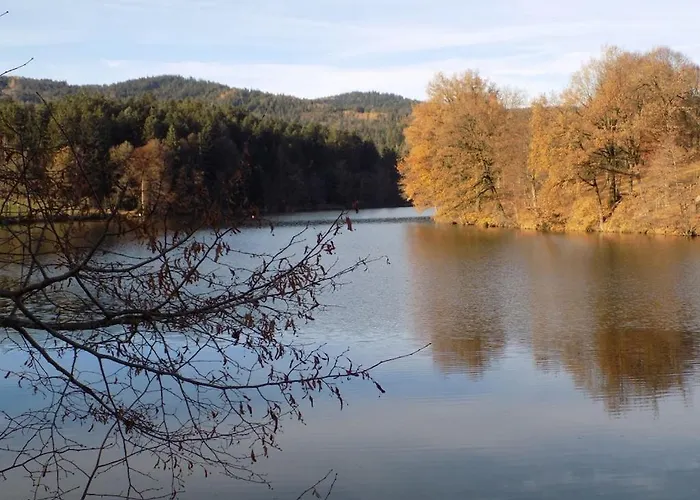 Forest View Hauzenberg Comfortable Holiday home