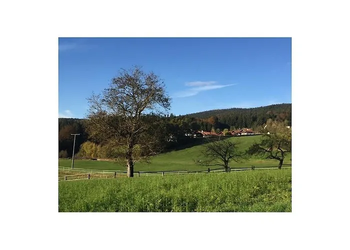 Forest View Hauzenberg Comfortable