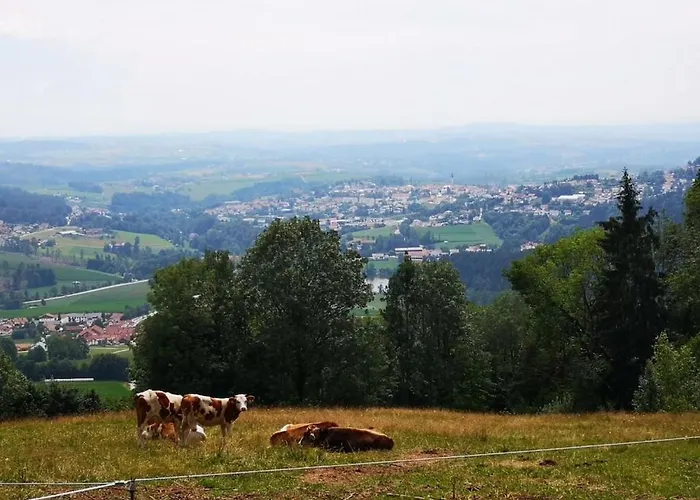 Forest View Hauzenberg Comfortable 펜션 Freudensee